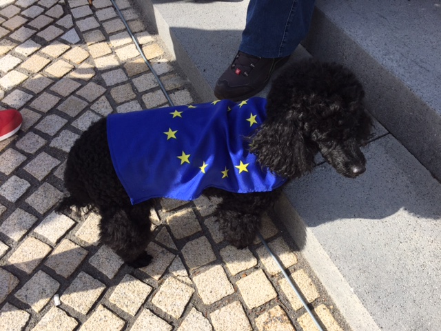 Pulse of europe_9344.JPG